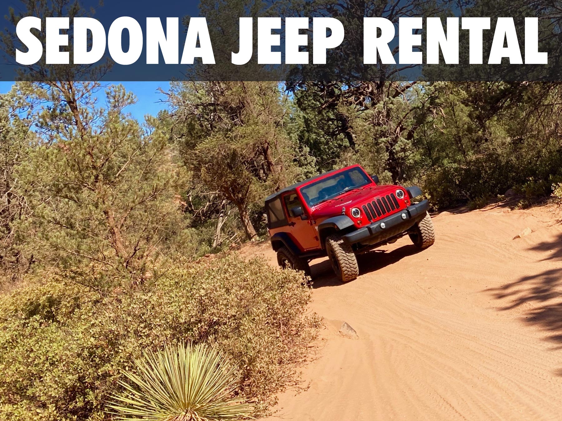 Arizona Jeep Rentals - Rental Jeeps